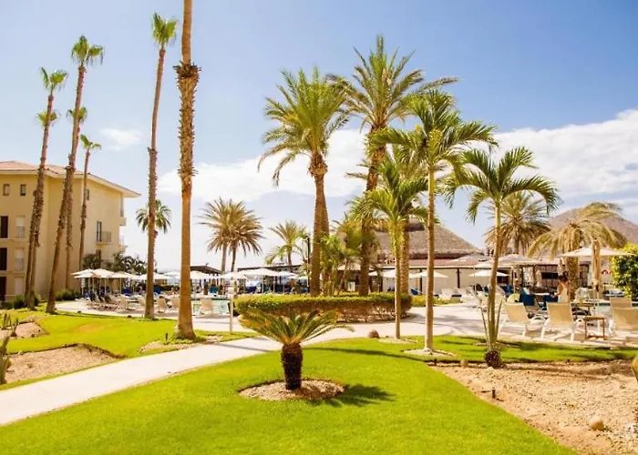 Apartment Executive Suite- Club Casa Dorada At Medano *